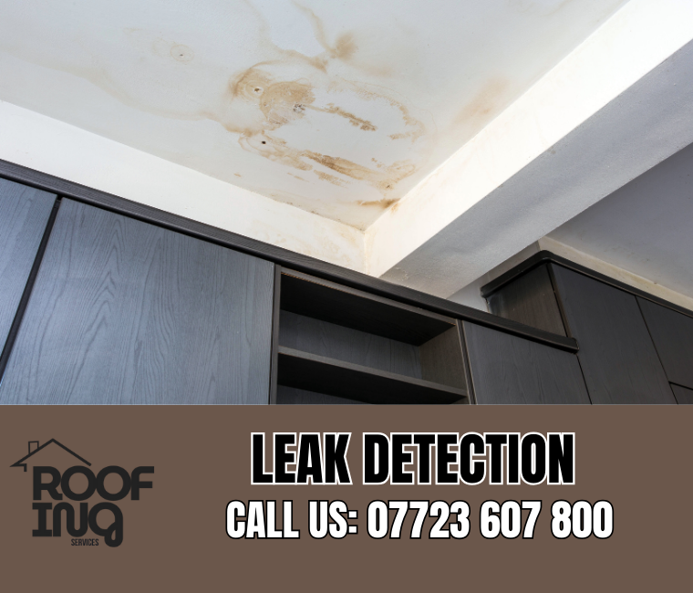 Roof Leak Detection in Polzeath