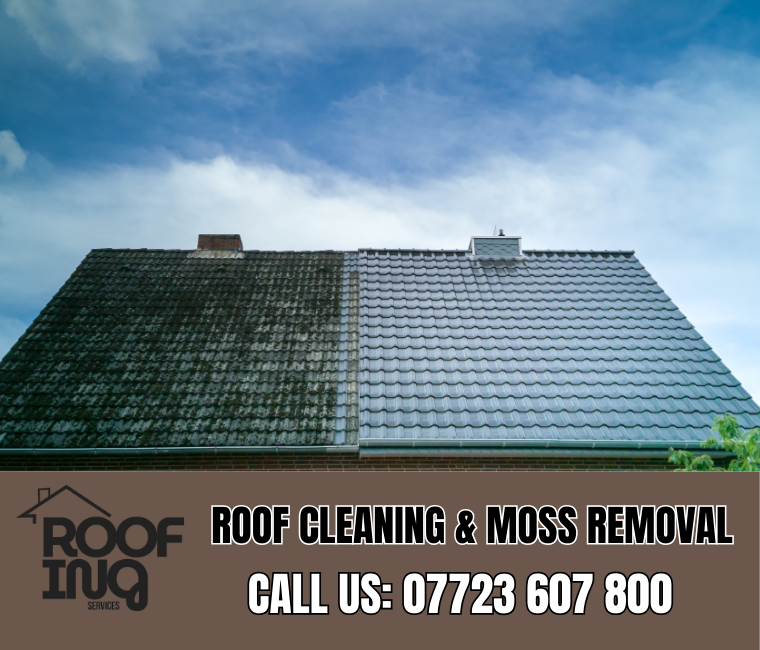 Roof cleaning and moss removal in Polzeath